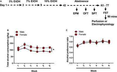 Forced Abstinence From Alcohol Induces Sex-Specific Depression-Like Behavioral and Neural Adaptations in Somatostatin Neurons in Cortical and Amygdalar Regions